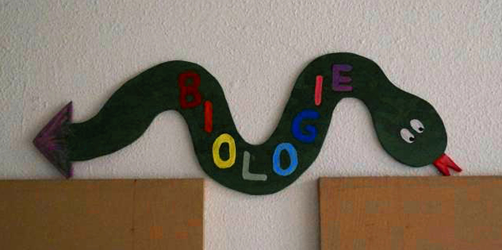 Bio-Schlange